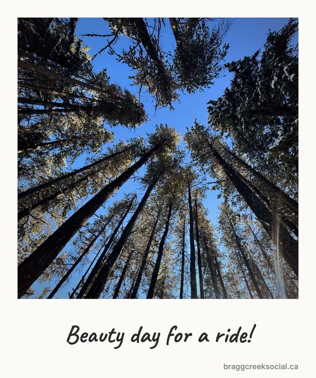 Beauty day for a ride!