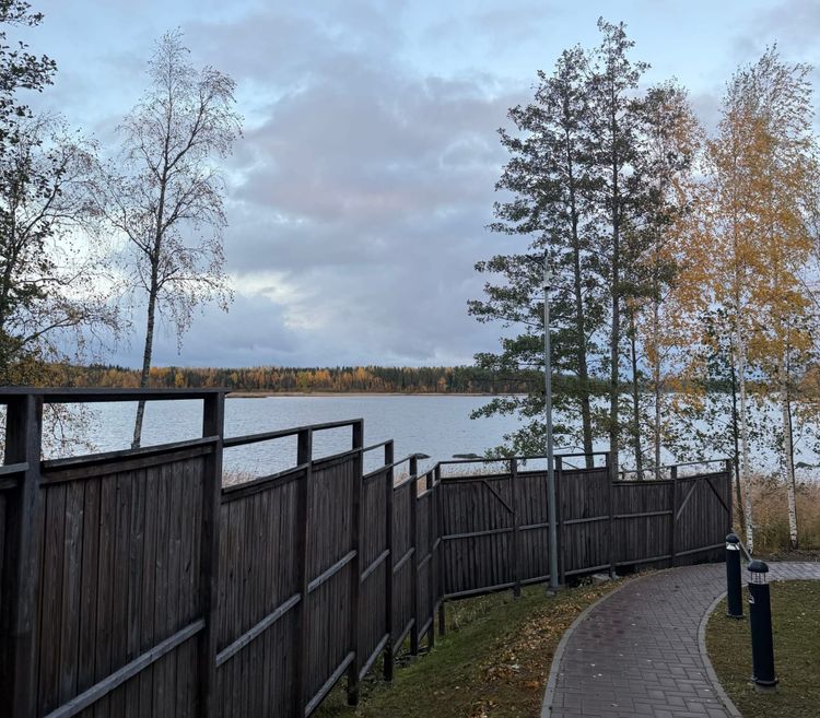 all hail the finnish sauna!
