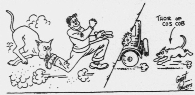1926 newspaper cartoon showing a man chased by a Great Dane named “Thor of Cos Cob” alongside a lawn mower illustration from a Paul Gallico sports column.