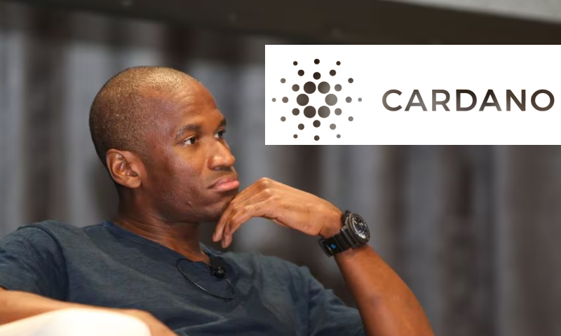 blockchain cryptocurrency arthur hayes ada cardano (SpotedCrypto)