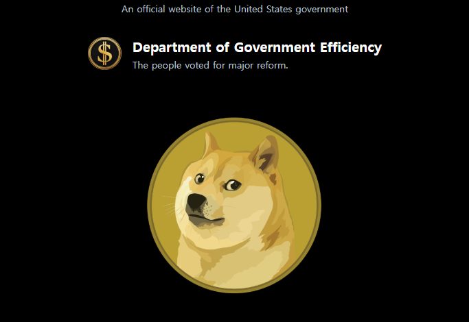 blockchain crypto cryptocurrency Doge coin used sign on US D.O.G.E by Elon (SpotedCrypto)