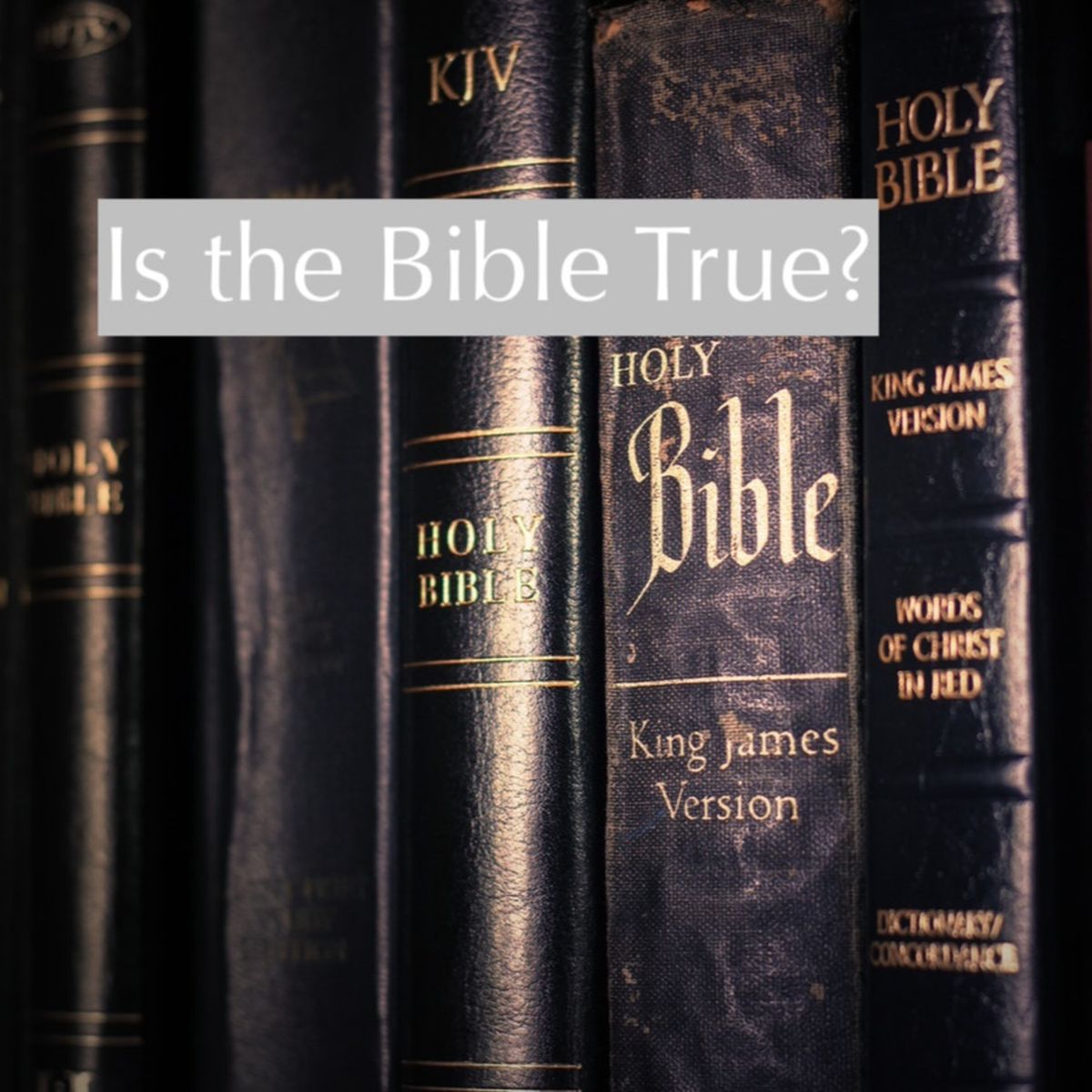 Is the Bible True: How we got the Bible (part 1)
