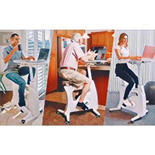 FlexiSpot Desk Bike Chair