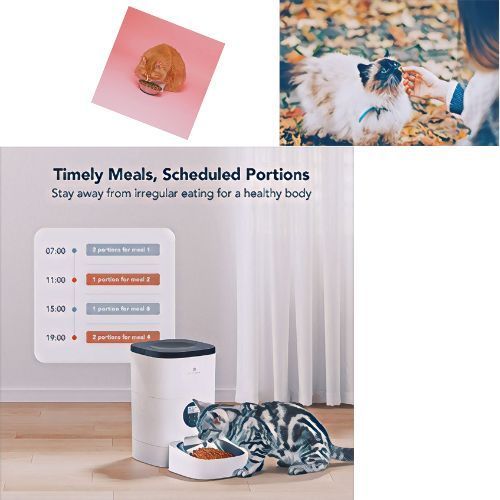 PETLIBRO Automatic & Timed Cat Feeder