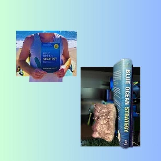Blue Ocean Strategy