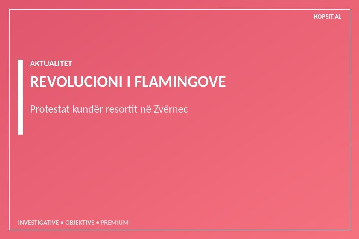 "Revolucioni i Flamingove": Rezistenca qytetare ndaj projektit 4 miliardë eurosh në Zvërnec dhe hijet e offshore-it