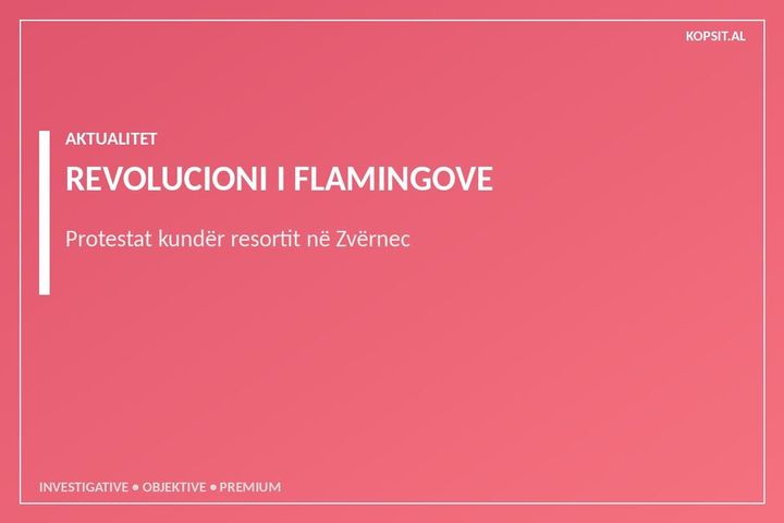 "Revolucioni i Flamingove": Rezistenca qytetare ndaj projektit 4 miliardë eurosh në Zvërnec dhe hijet e offshore-it