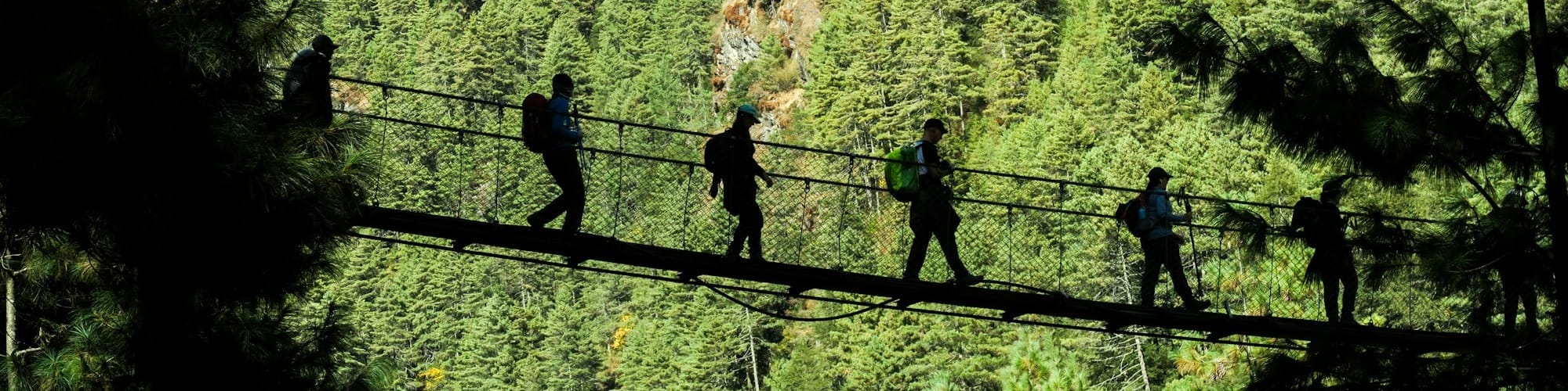 five person walking on hanging bridge