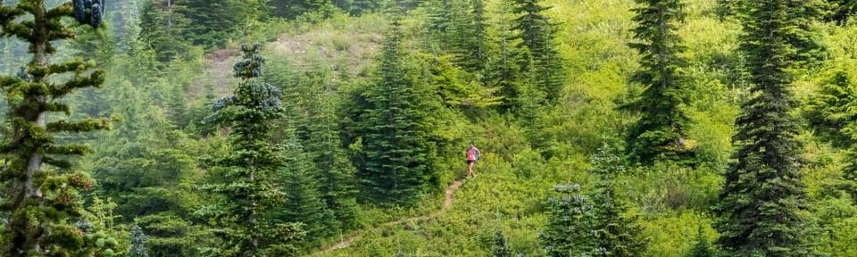 The Chasin’ Journal: 3 Tips for Running and Hiking Longevity and Consistency