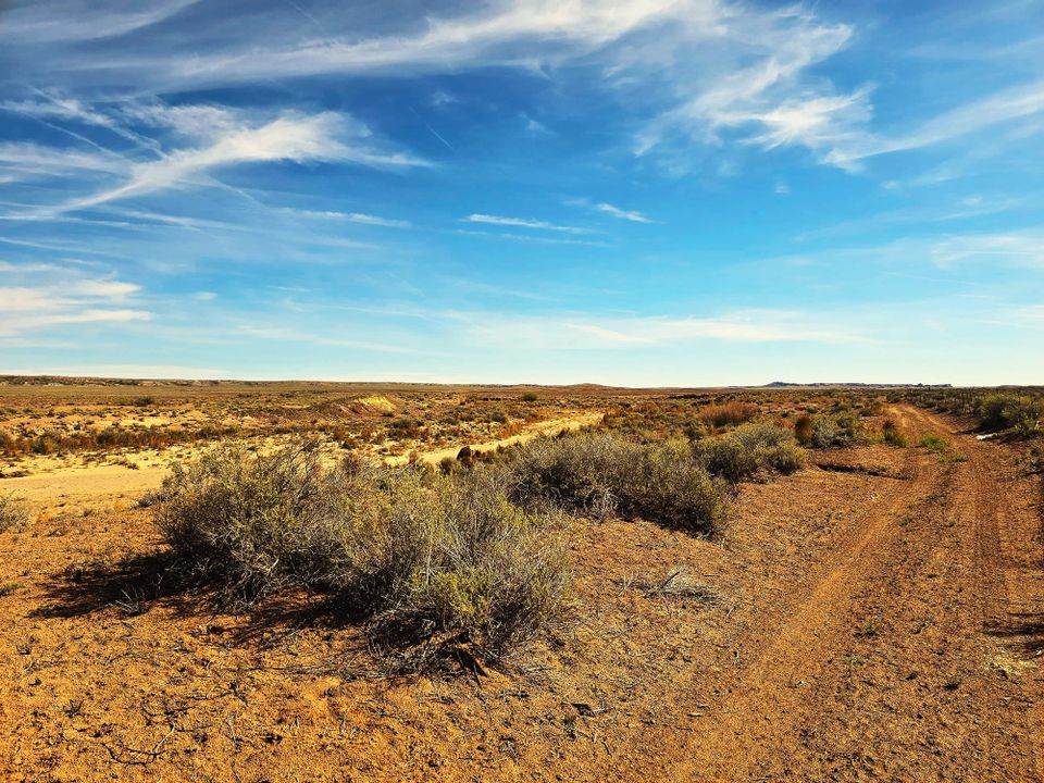 Two Tracks and Washes