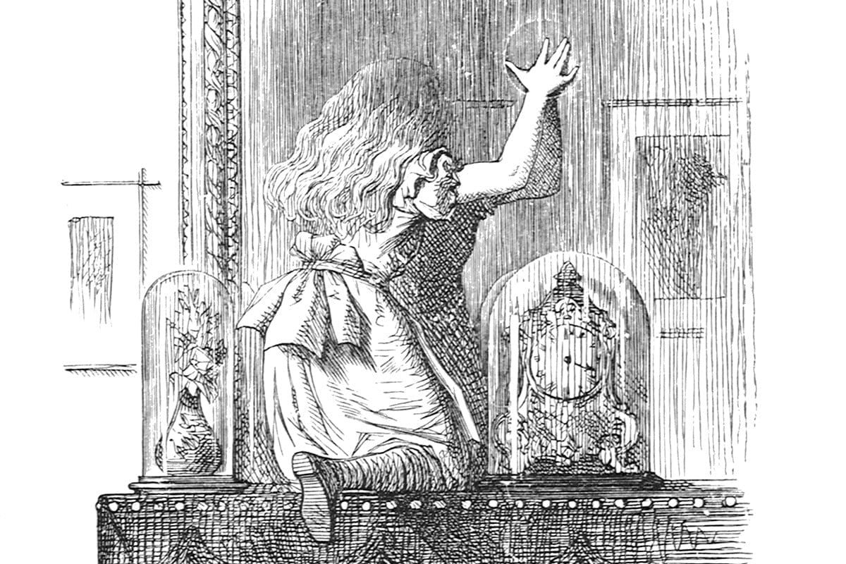 The Girl in The Glass Cage