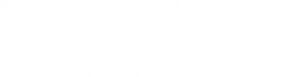 Longevity Premium
