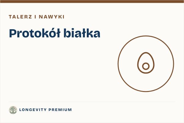 Protokół białka