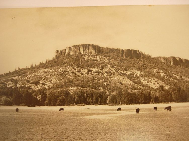 WWII Camp White pillboxes at Table Rocks