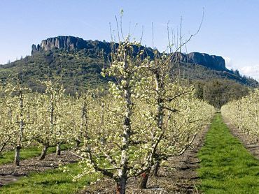 360° Camp White pillboxes at Upper Table Rock