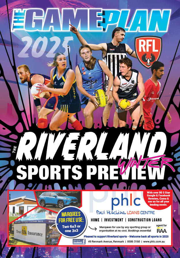 Game Plan 2025 post image