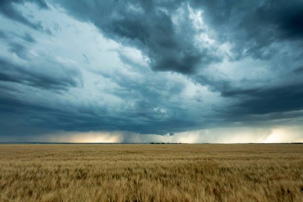 Online course examines farming, climate
