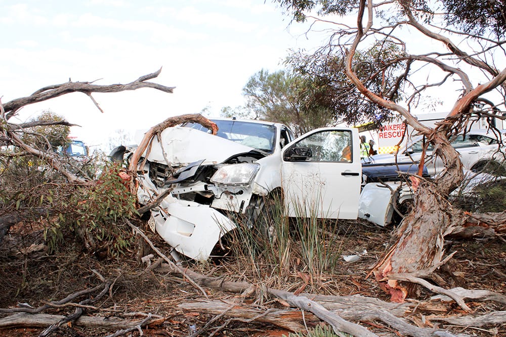 No serious injury from tree crash