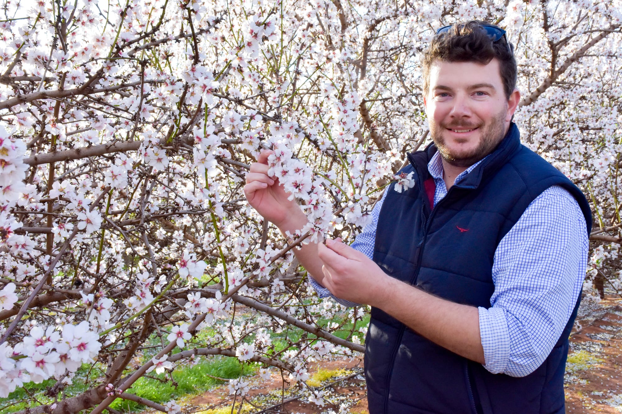 Brilliant blooms, brilliant season?