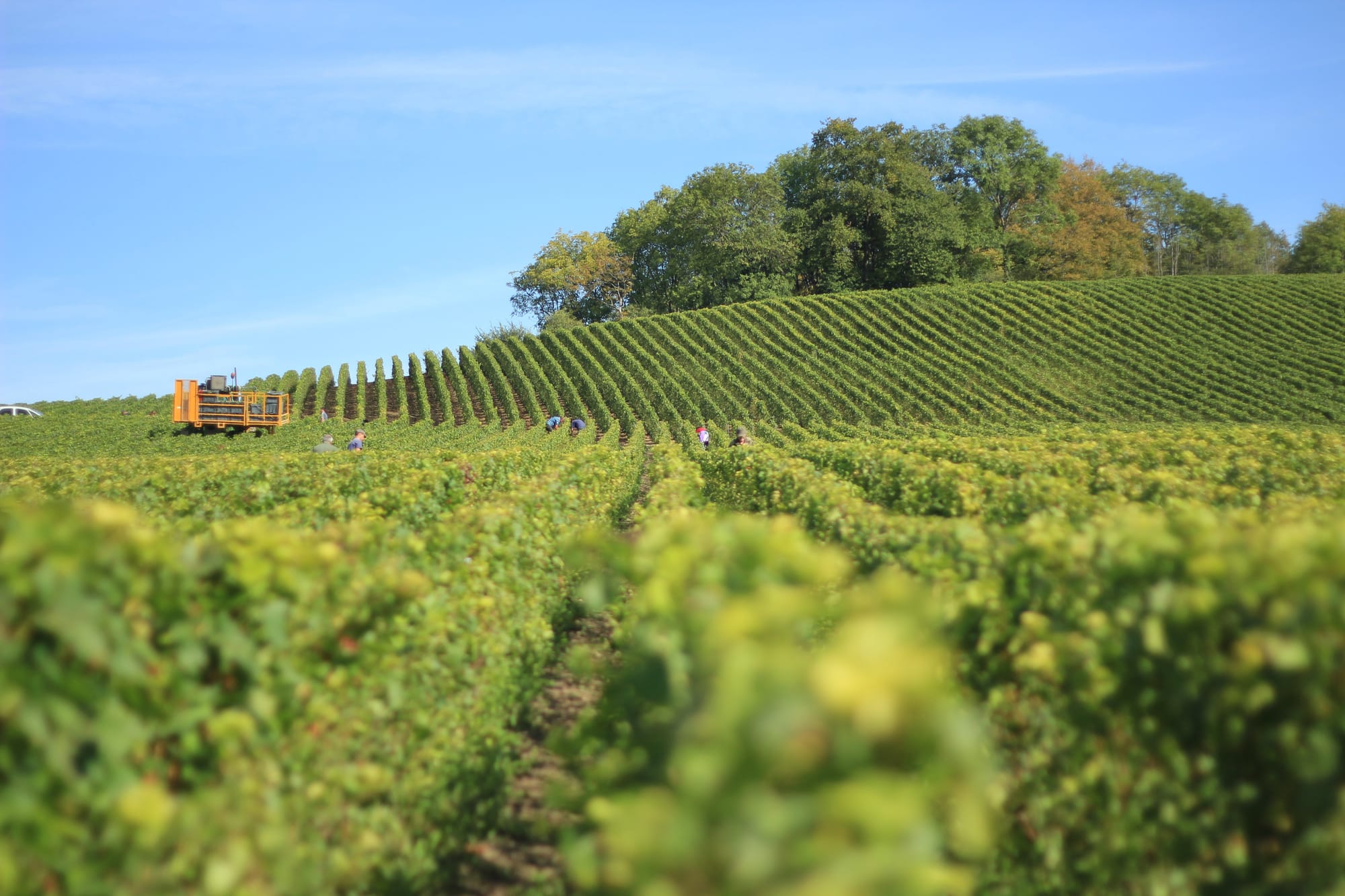 Agricultural excellence awards now open