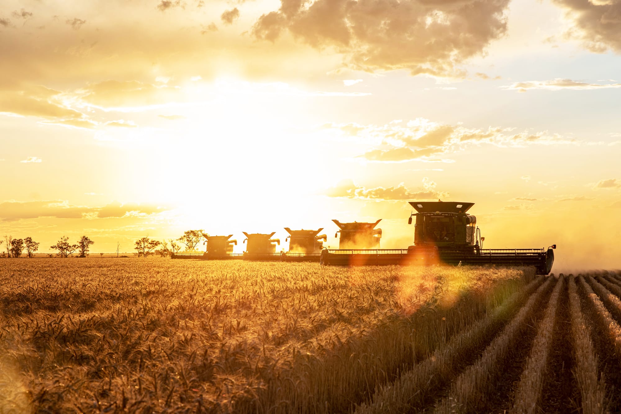 GrainGrowers Onboard program now open