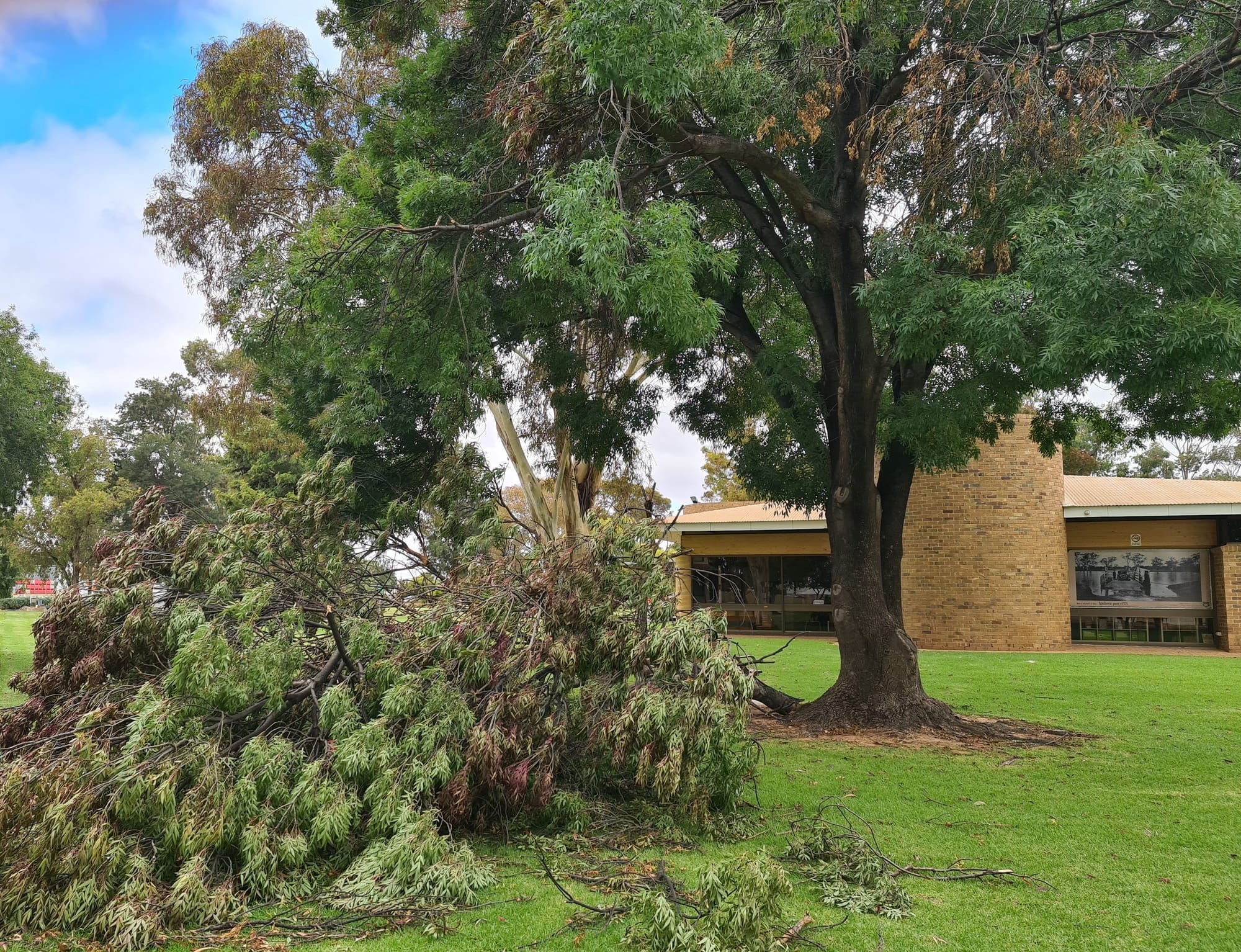Trough brings sudden downpours to Waikerie