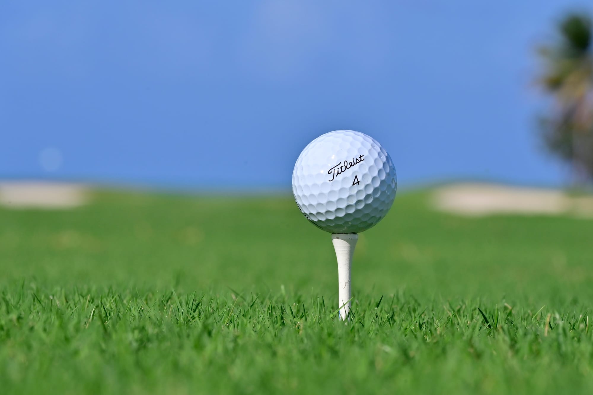 Barmera golf results and information