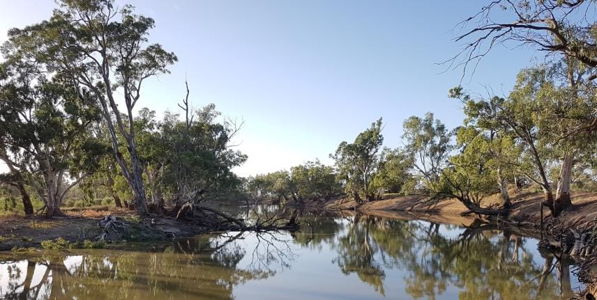 20 years of commitment to environment