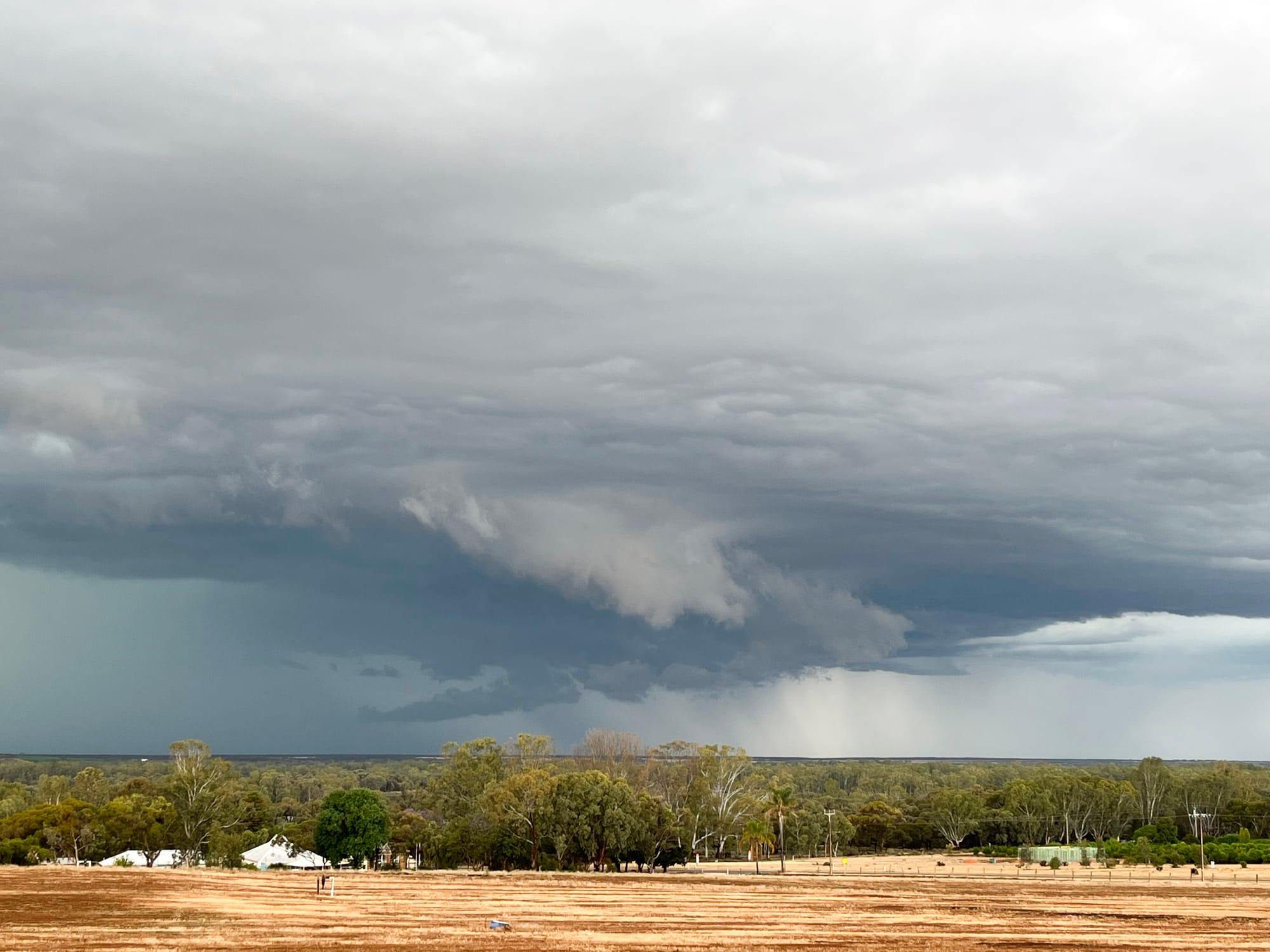 Tim urges growers to report all damage