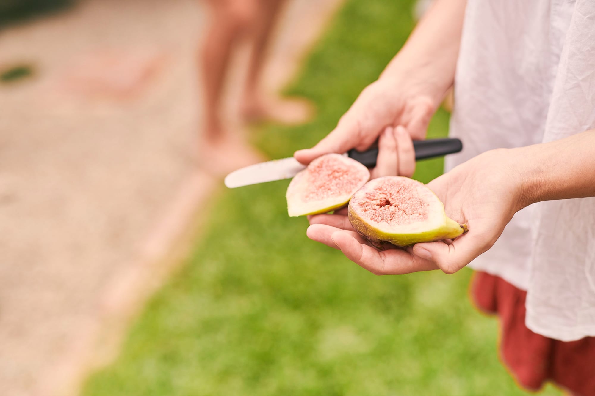 Heading back to school? Don’t forget fruit fly restrictions