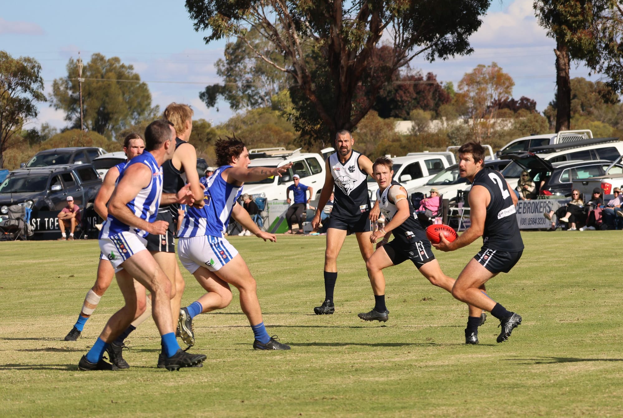 Renmark moves to top of the RFL tree