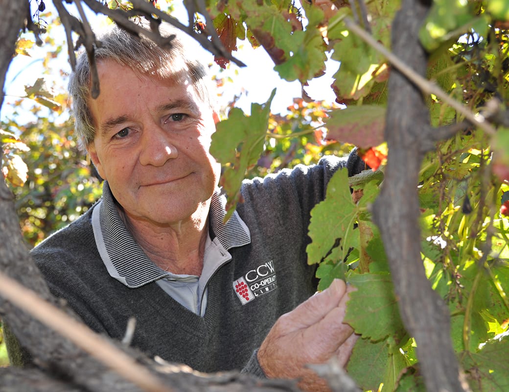 Ian on board with Accolade