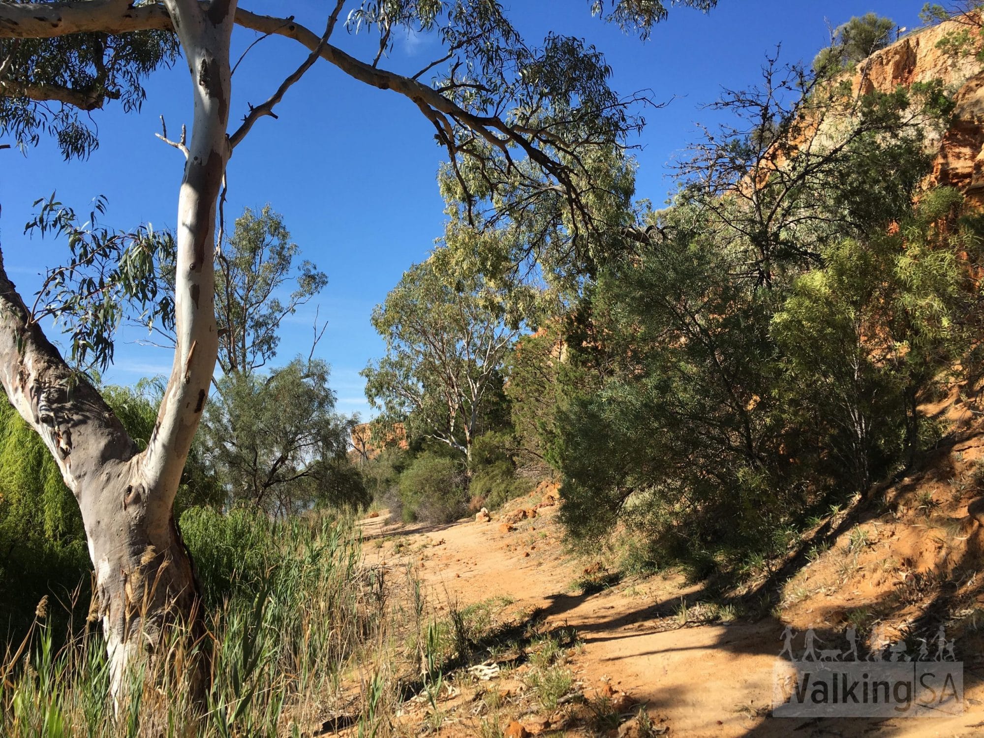 National science week welcomes Dirt Fest