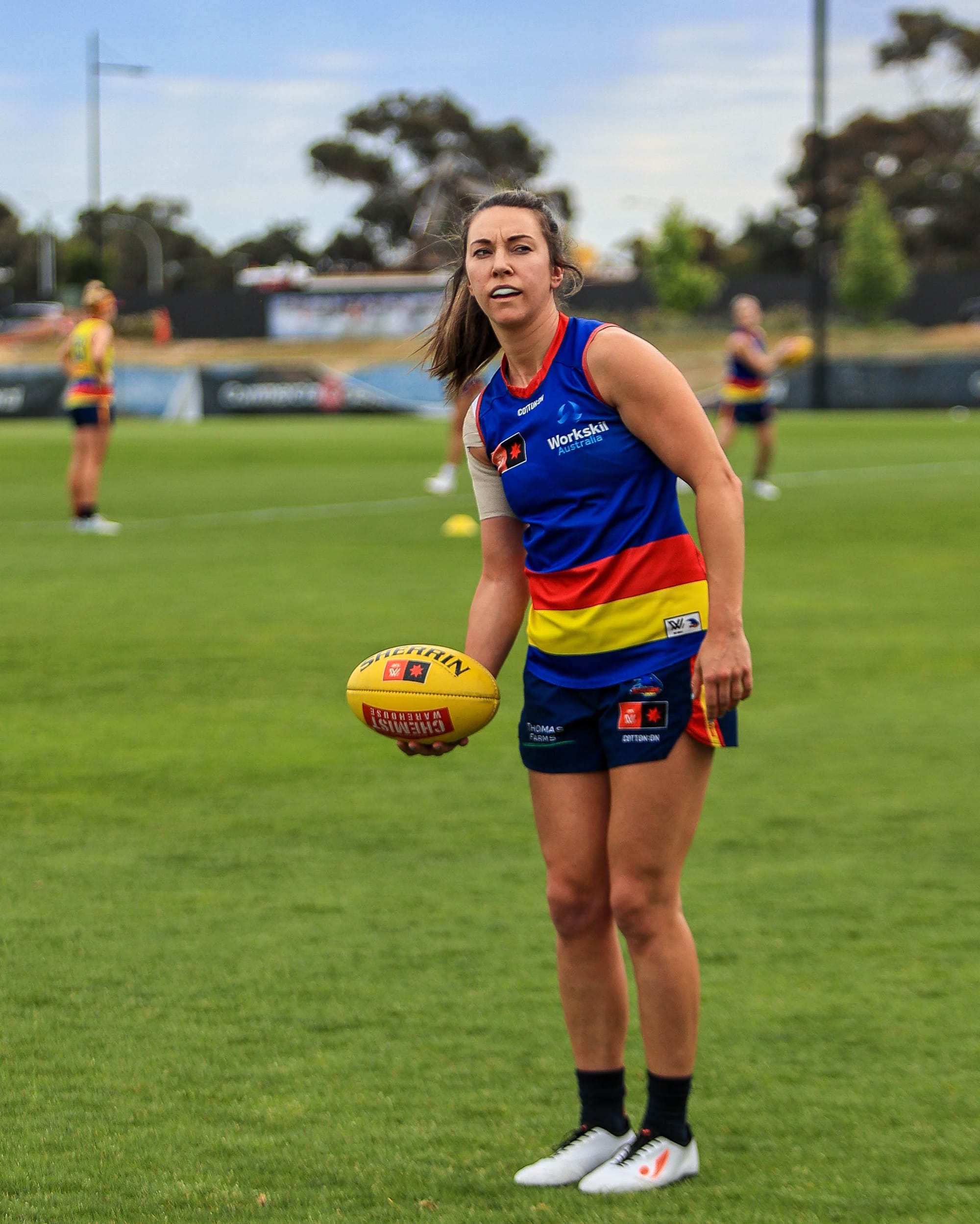 Crows set to fly to the Riverland