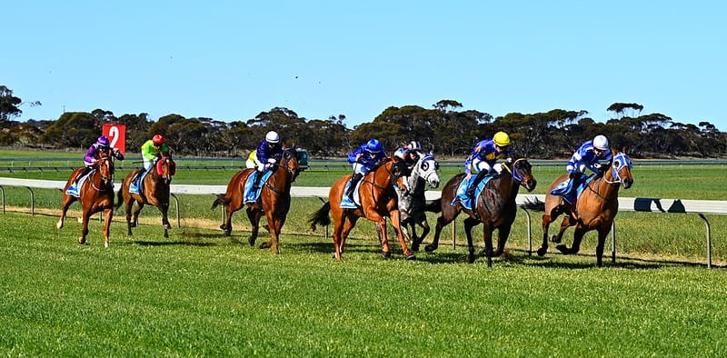 All signs point to a bumper Cup day