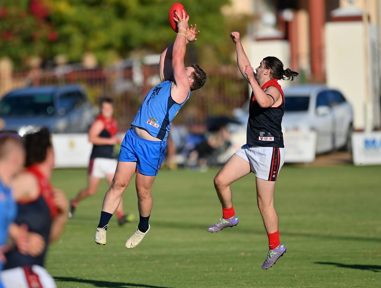Roos Frankly too good for Dees