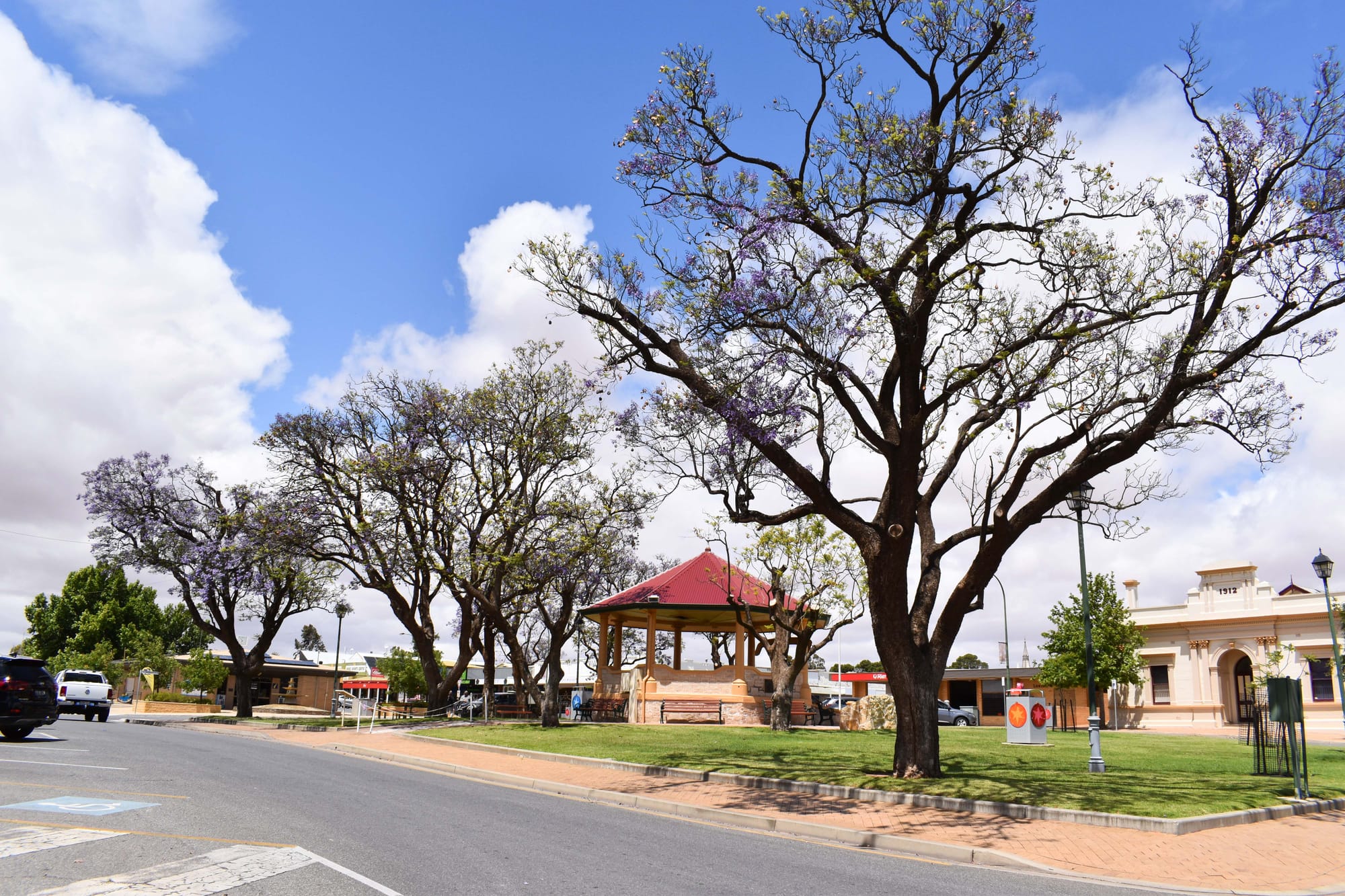 Chop chop for the Loxton jacarandas