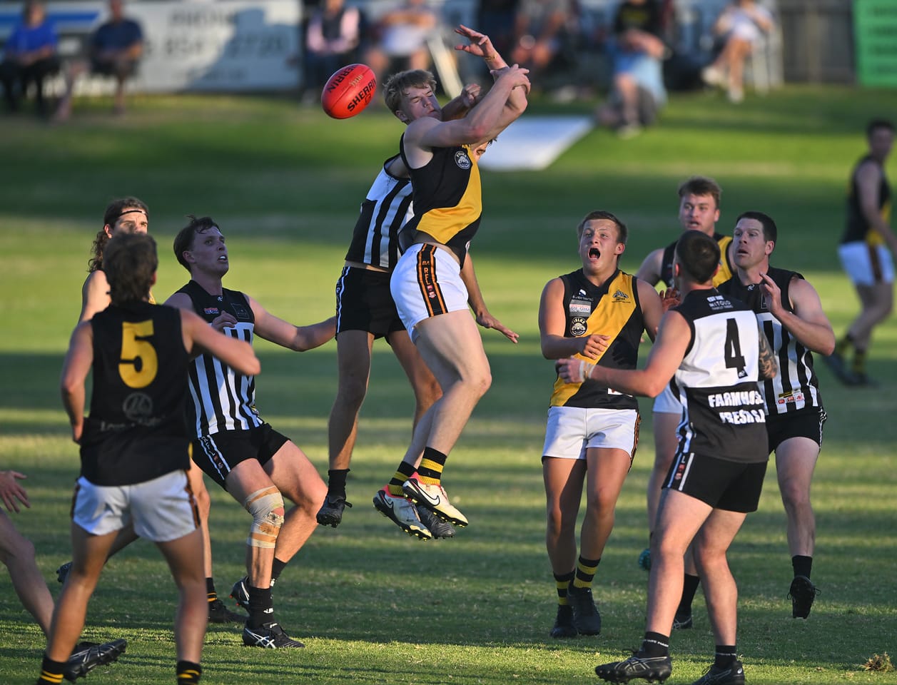 Magpies fly to first win