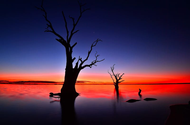 How do you know you’re a local?