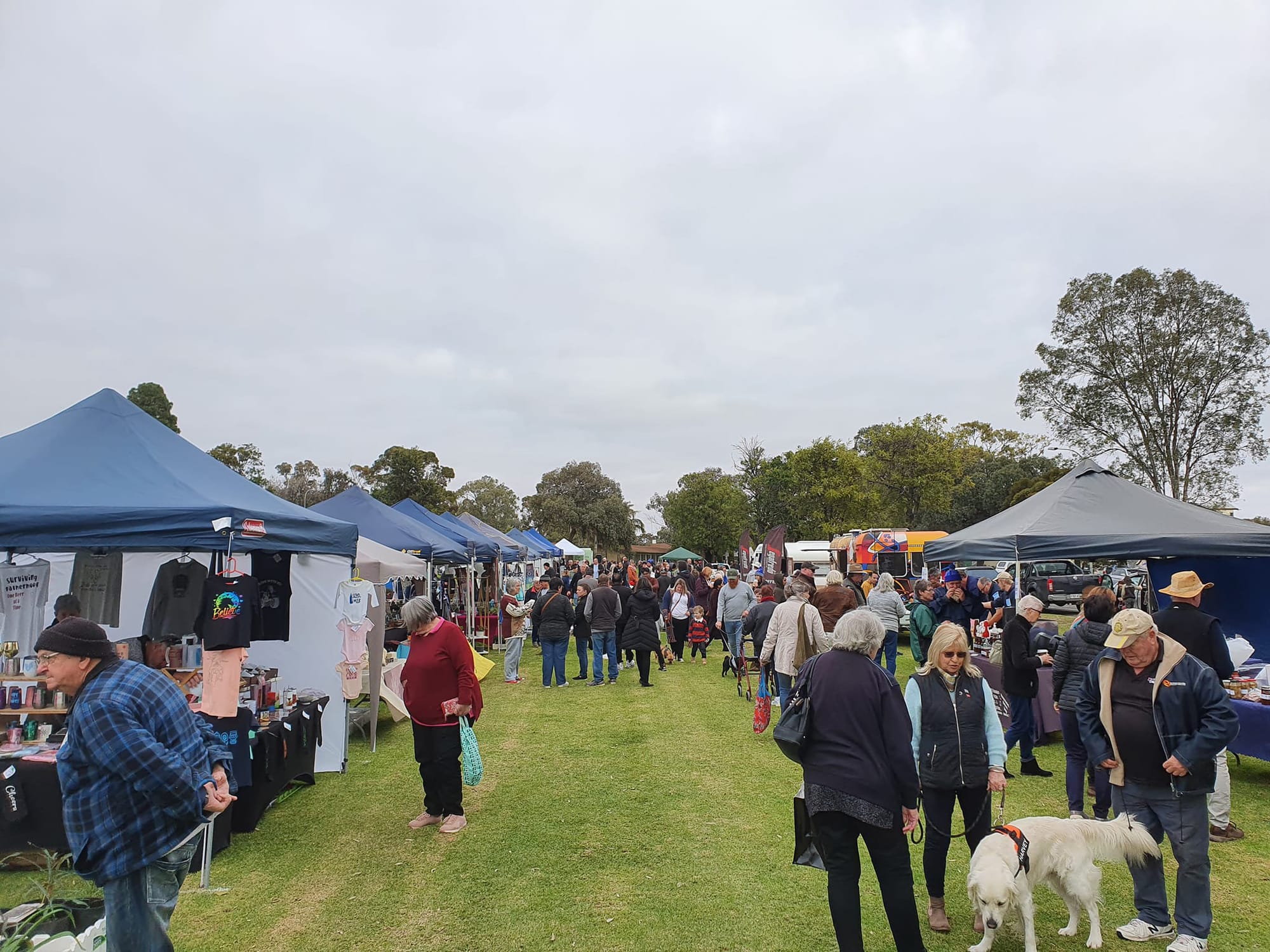 Market location dividing Barmera