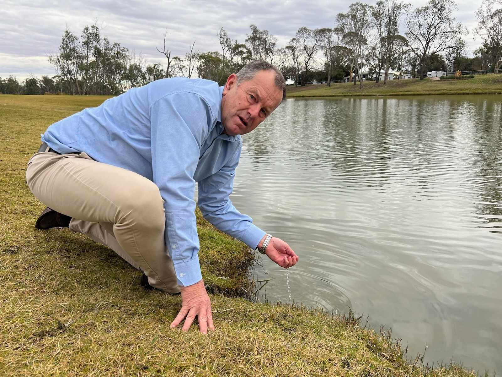 Government downplays blue-green algae risk
