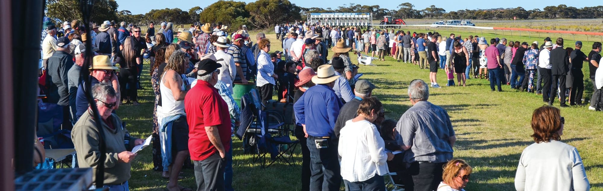 Mindarie-Halidon Racing Club’s committee move to harvest benefits