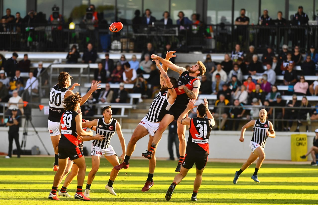 Berri’s Brand heading back with Westies