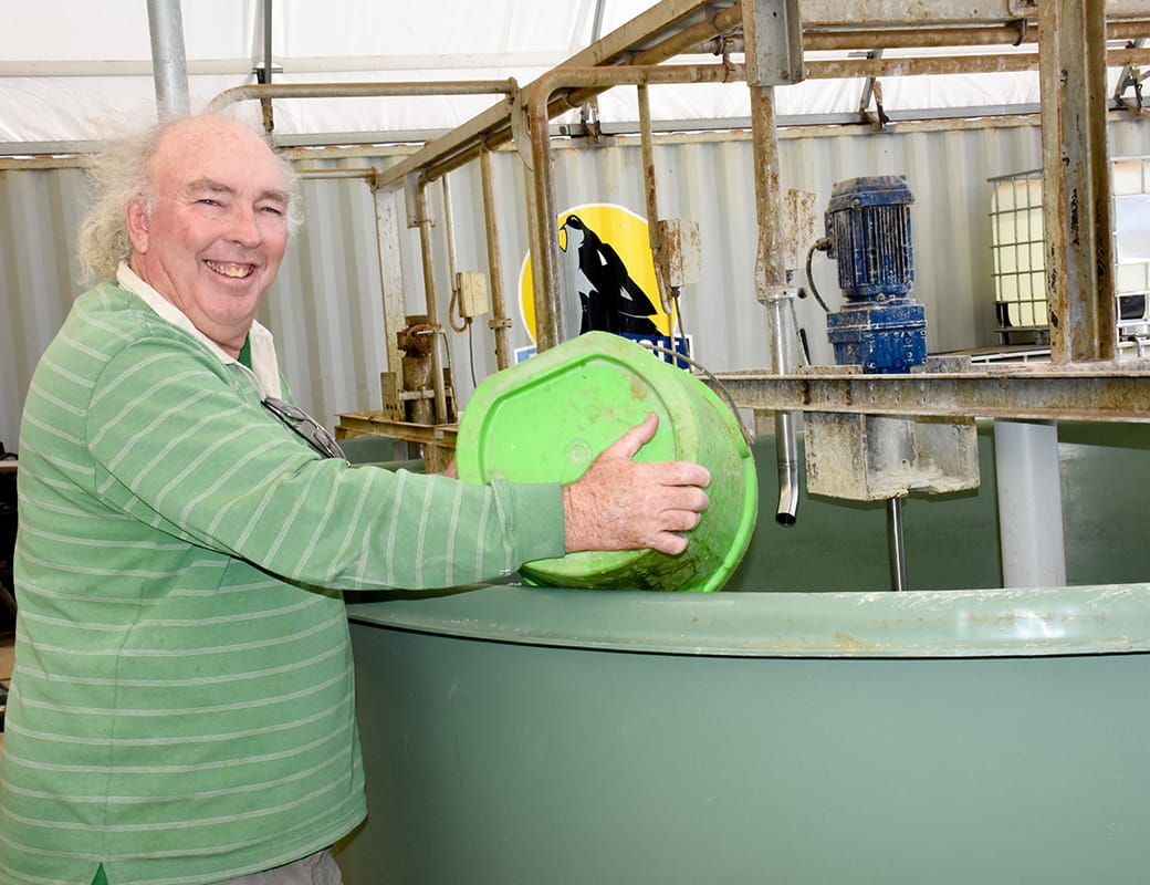 Recent rainfall creates a science project’s “perfect scenario”