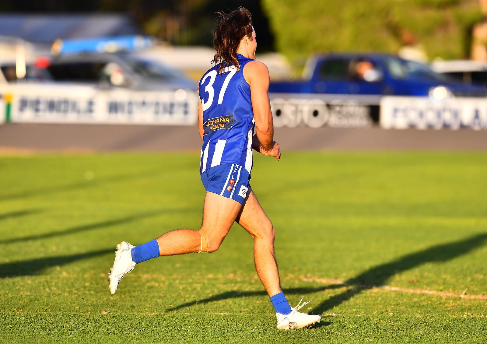 Rovers off the leash