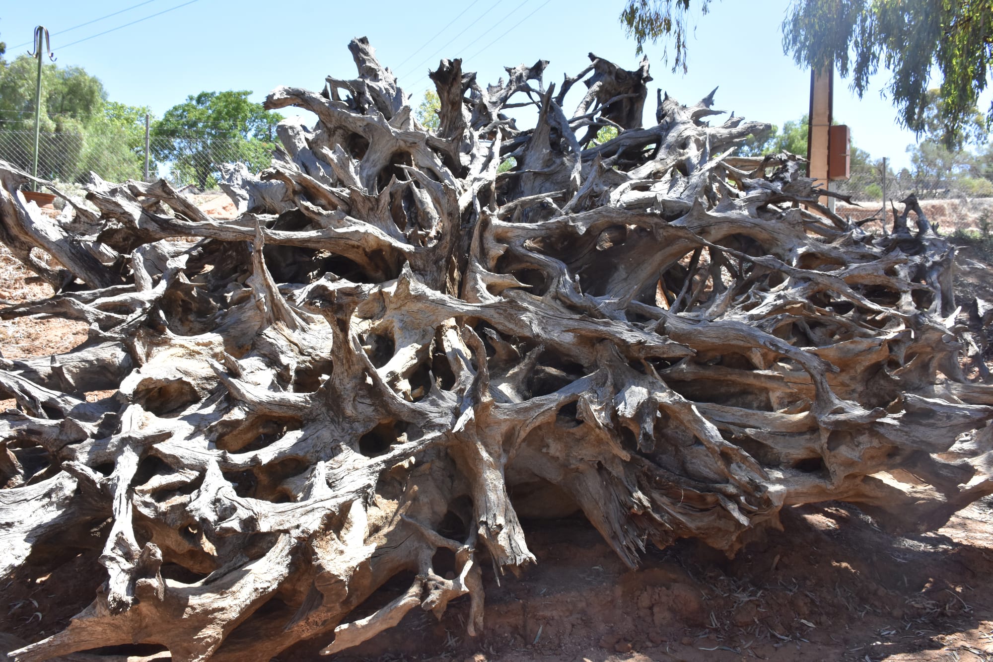 Riverland community spirit alive and thriving