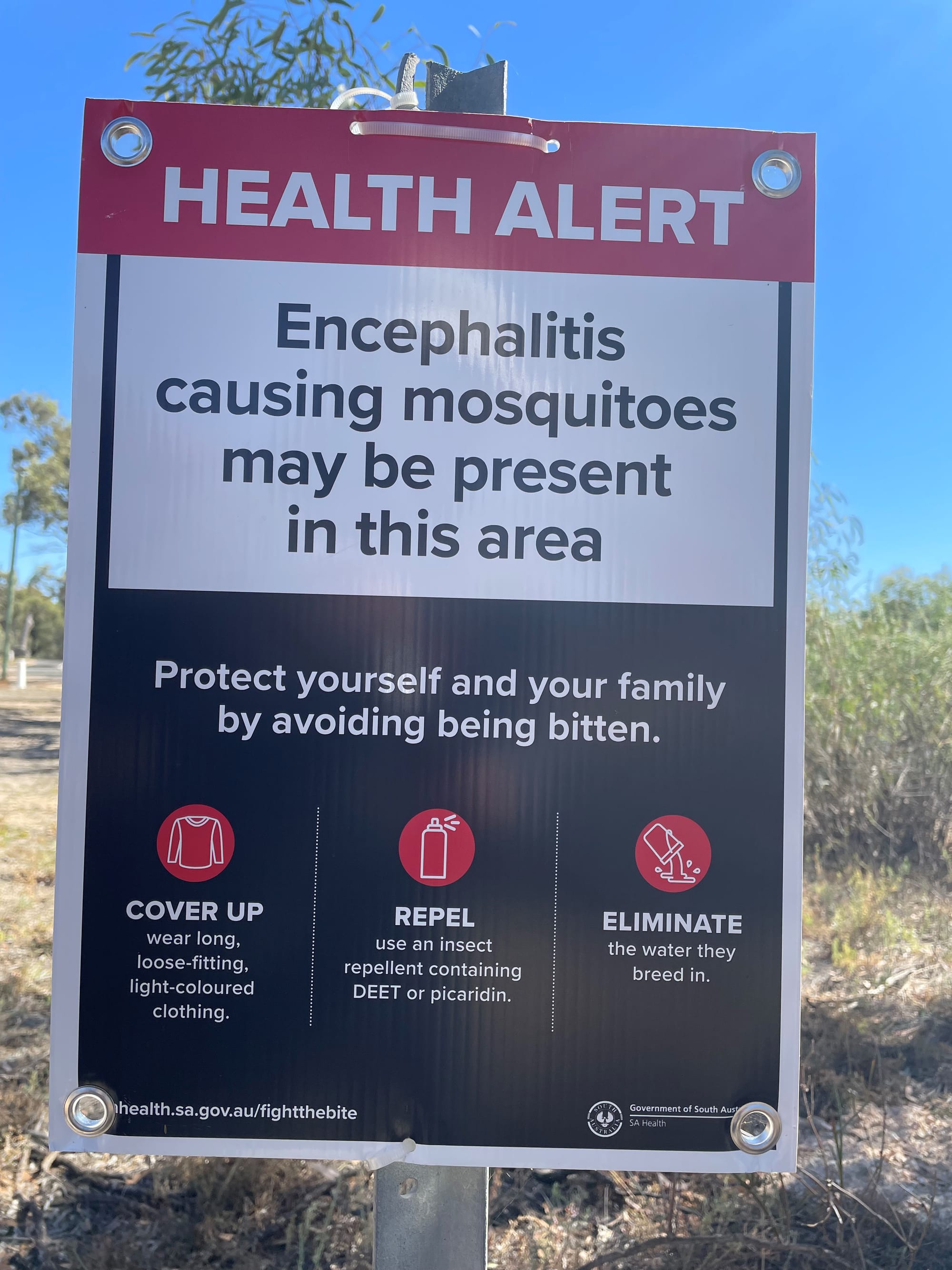 What’s in a word? Mozzies getting ‘a bad rap’