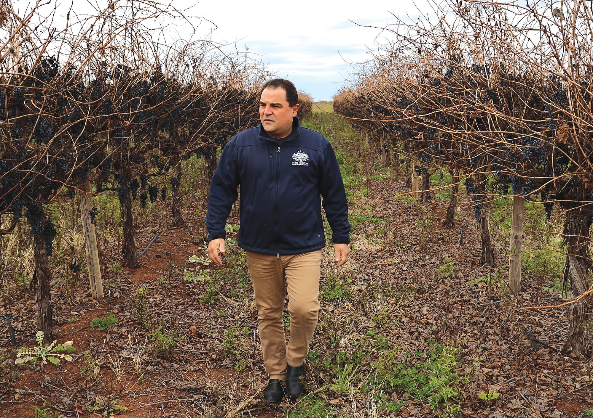 Pasin calls out lack of frost support