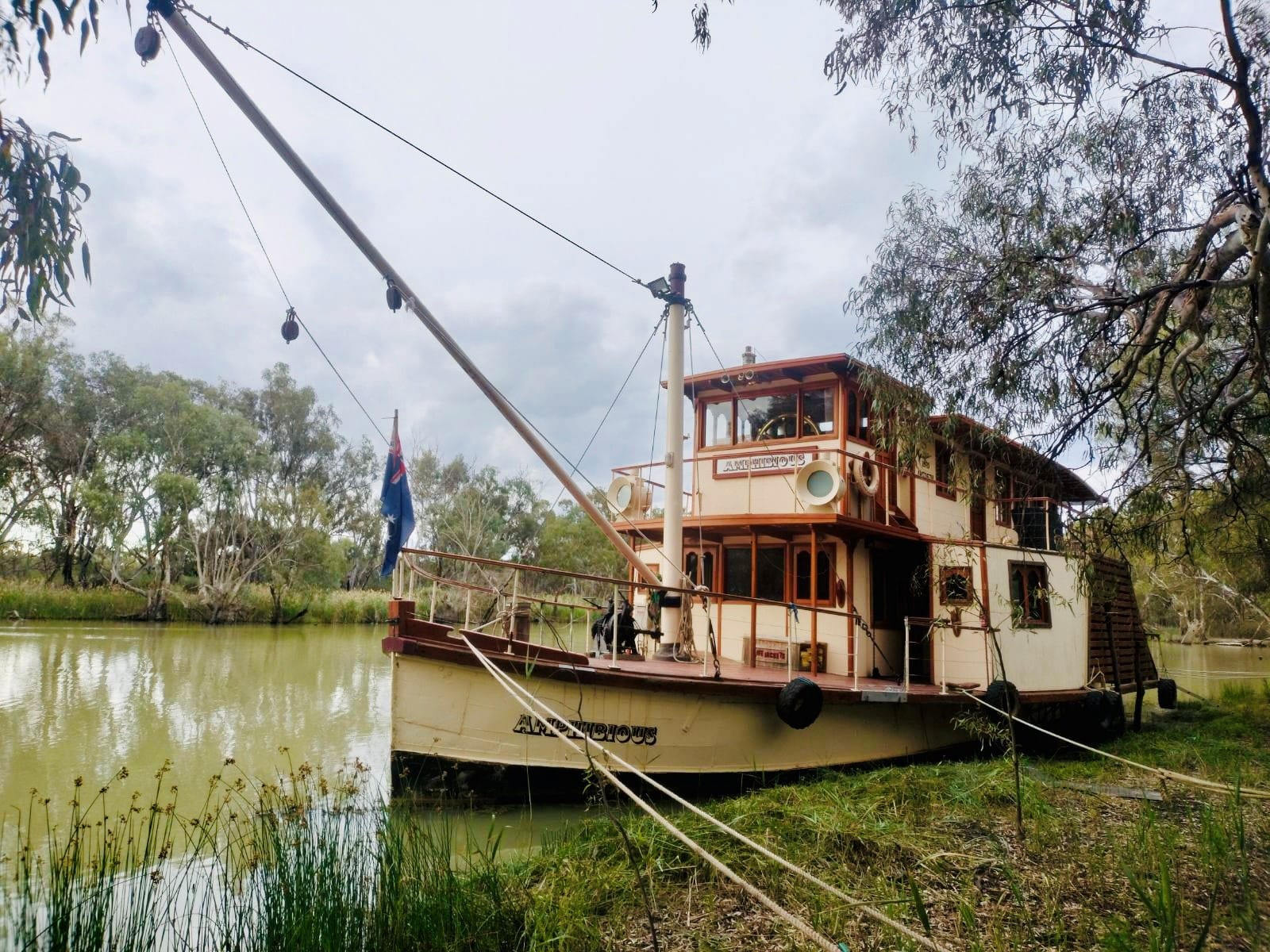 Amphibious is docking at Renmark