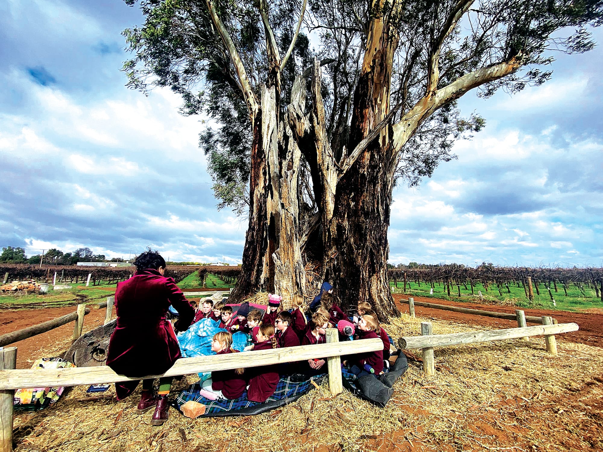 Monash and Lone Gum: School turns 100+3
